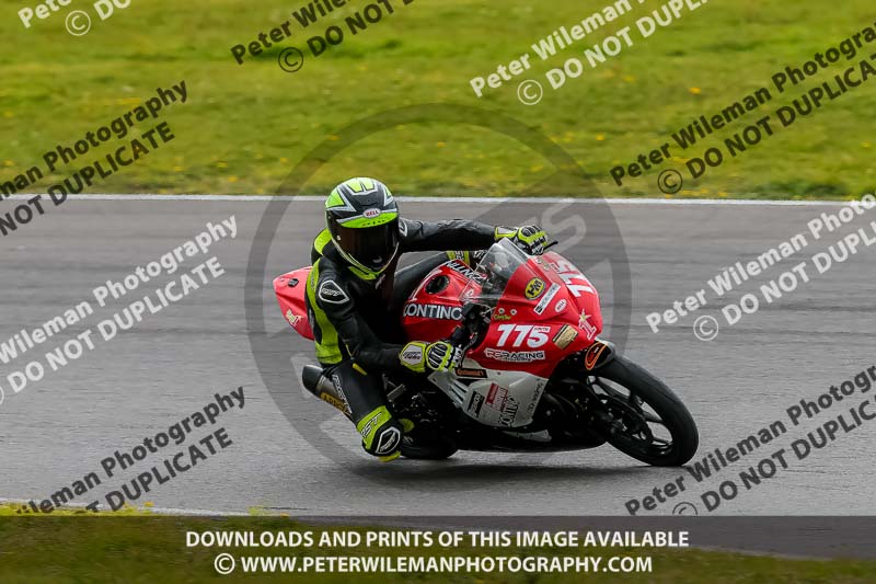 PJ Motorsport 2019;anglesey no limits trackday;anglesey photographs;anglesey trackday photographs;enduro digital images;event digital images;eventdigitalimages;no limits trackdays;peter wileman photography;racing digital images;trac mon;trackday digital images;trackday photos;ty croes